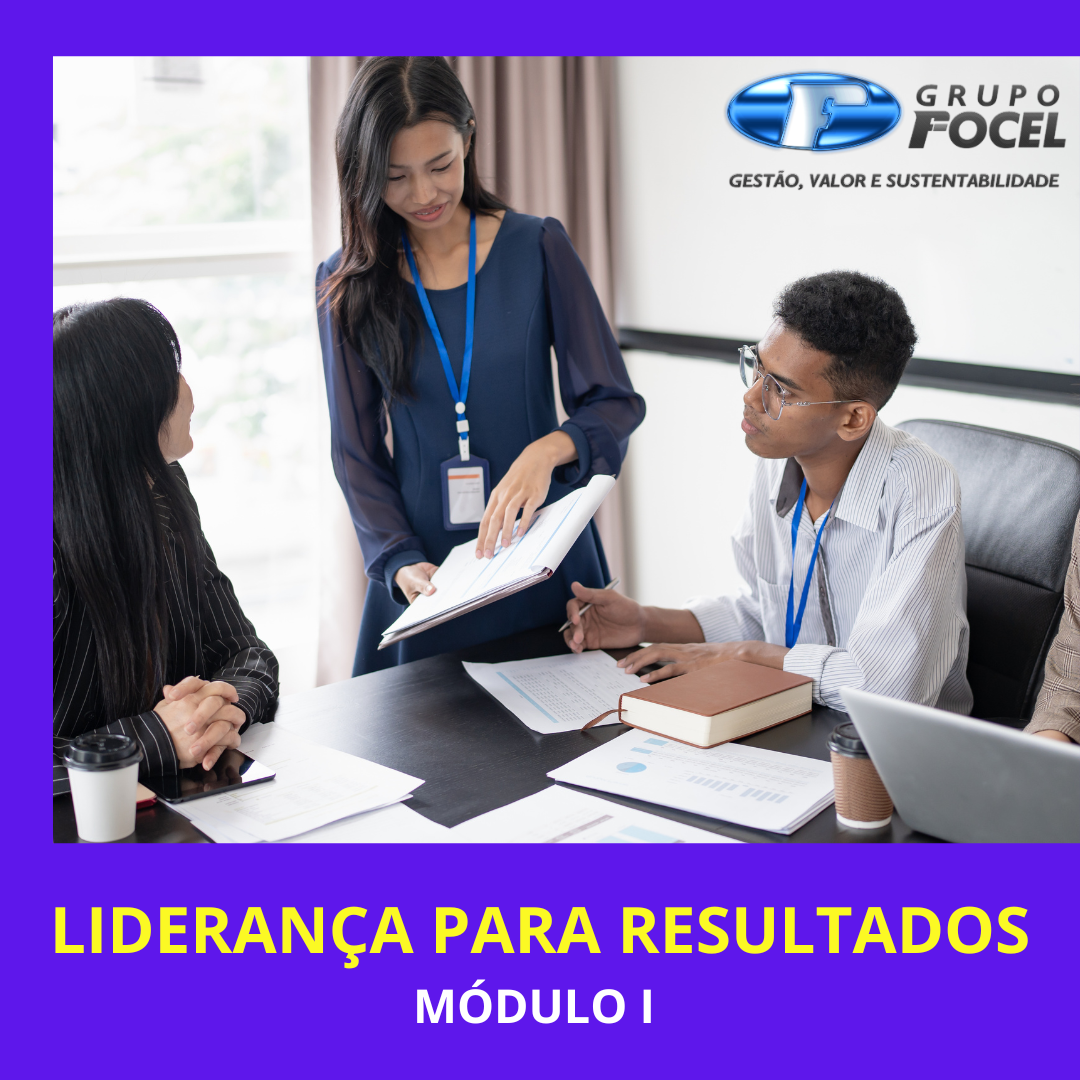 Liderança para Resultados (4horas-aula)